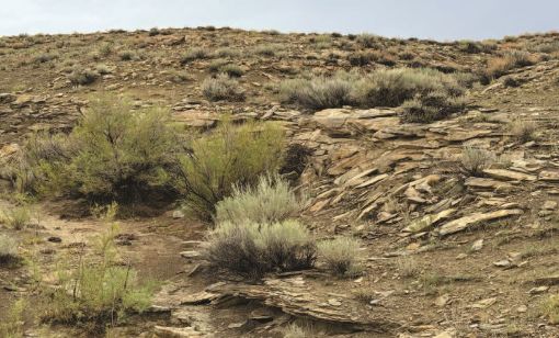 Monument Butte Field