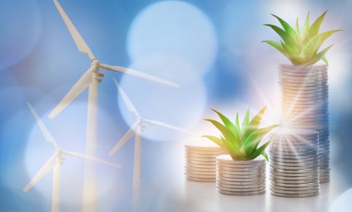 Hirs: Aspirations Meet Reality—The Undisclosed High Cost of the Energy Transition
