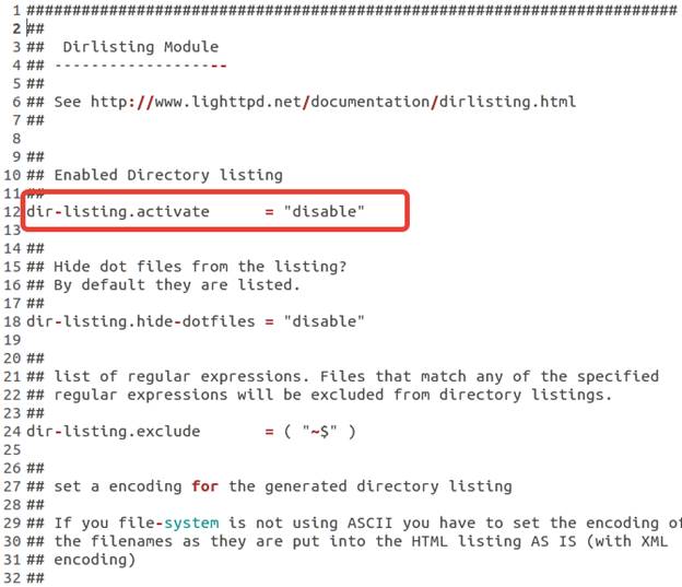The configuration file of the Lighttpd web server.